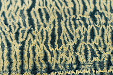 Shibori . Natural Color Cotton Fabric ~ 23 { Per meter }